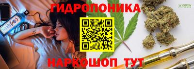 стаф Бузулук