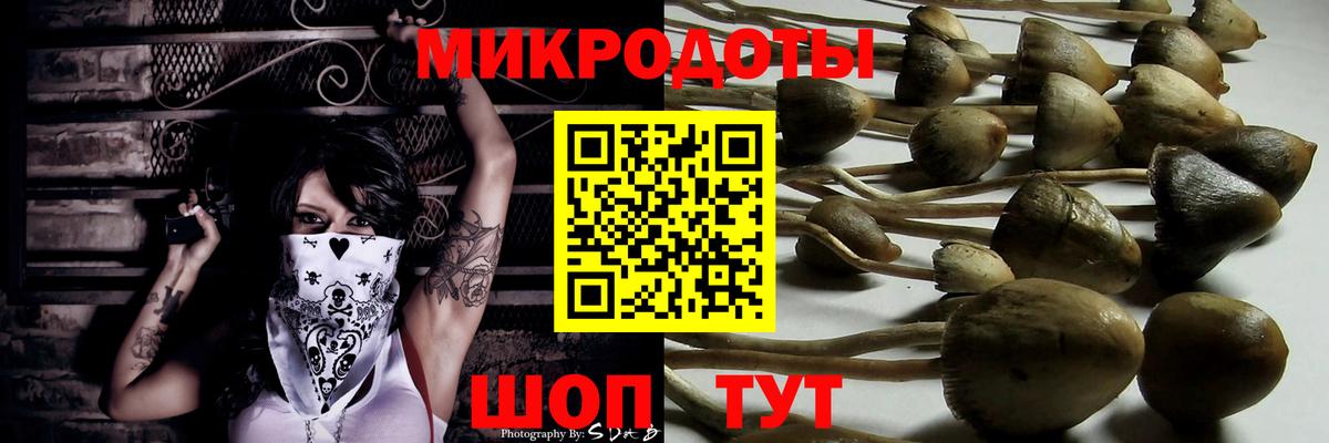 Галлюциногенные грибы GOLDEN TEACHER  Вход с VPN  Псилоцибиновые грибы прущие грибы  Можайск 